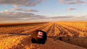 GIROAgro é eleita quarta melhor empresa de fertilizantes do país no Prêmio Melhores do Agronegócio