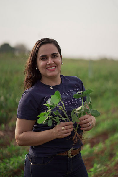 Ferramentas para condicionamento do solo podem render mais produtividade por hectare na cultura do milho