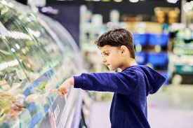 Salling Group e Danfoss colaboram com a Microsoft para reduzir a perda de alimentos e desperdício de energia na refrigeração de varejo