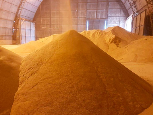 Processo de produção de SPC de soja da Rio Pardo ganha novas patentes ao redor do mundo