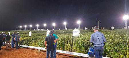 Frísia prepara Noite da Soja Sementes Batavo em Carambeí