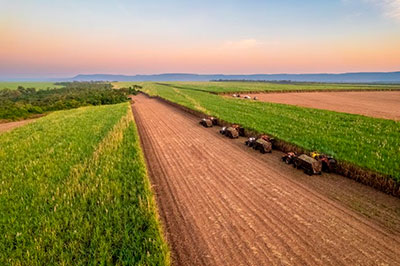 Uisa é a primeira do Brasil a conquistar a certificação Regenagri para sua produção de cana-de-açúcar