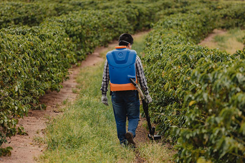 FEMAGRI 2023: Jacto traz economia na produção com soluções inovadoras para todos os estágios do cafezal, do pequeno ao grande agricultor