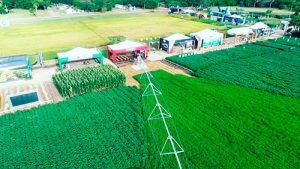 Lindsay apresenta ferramenta para demonstrar como a irrigação pode aumentar a rentabilidade dos produtores rurais na Agrishow 2025