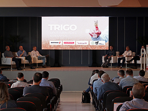 Painel realizado no Show Rural aborda oportunidades do trigo para a indústria moageira