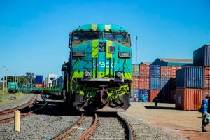 Brado amplia operações com gergelim e acompanha crescimento do mercado