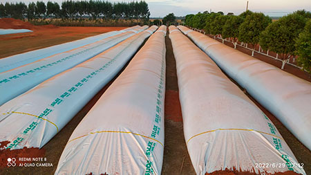 Com safra recorde, déficit de armazenamento de grãos volta a assombrar o setor