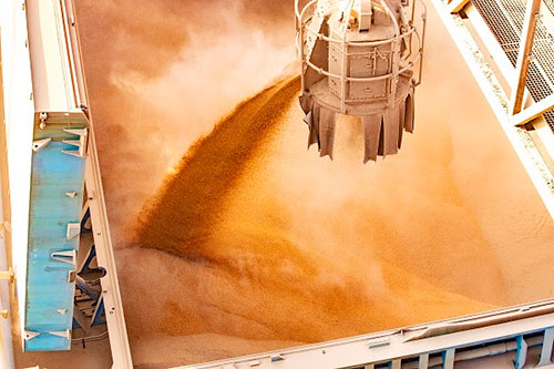 Portos do Paraná têm movimentação recorde em janeiro