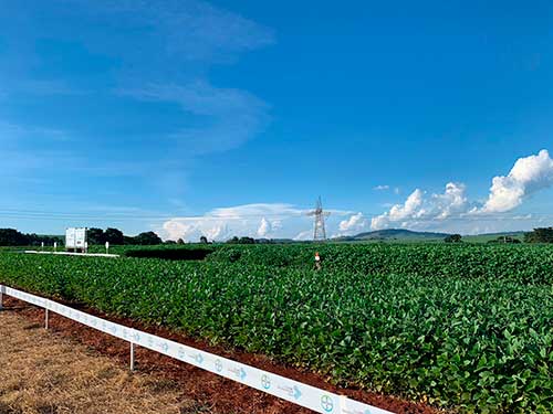 Clube da Inovação Soja reunirá setor para discutir os desafios e oportunidades no desenvolvimento de tecnologias no Brasil