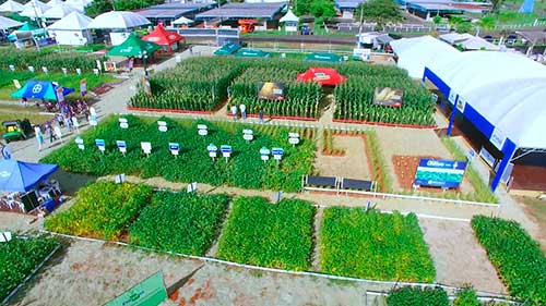 DPaschoal apresenta novidades para máquinas e implementos agrícolas na Femec 2023