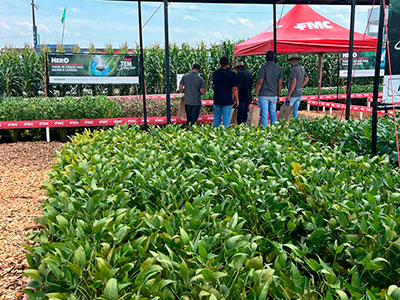 FMC marca presença no Farm Show