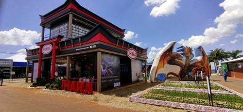 Produtores apostam em sanidade para garantir produtividade nas lavouras