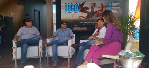 Produtores apostam em sanidade para garantir produtividade nas lavouras