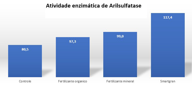 Bactérias inteligentes são indispensáveis na agricultura regenerativa