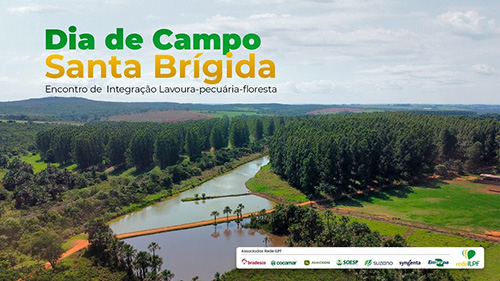 Dia de campo sobre ILPF em Ipameri (GO) volta a ser realizado no formato presencial