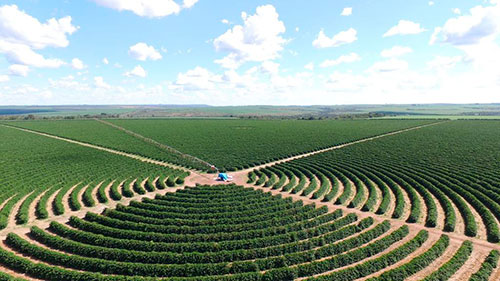 Adjuvante com alta tecnologia será apresentado à cafeicultores da Alta Mogiana