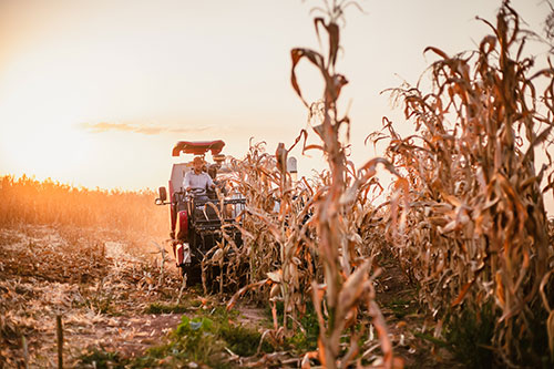 YANMAR marca presença na Expoagro Afubra 2023