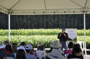 Dias de Campo em Ipameri (GO) mostram a eficiência dos sistemas integrados e a importância da agricultura sustentável