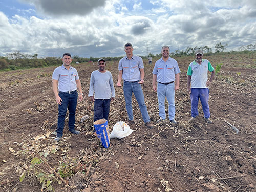 Após primeiros plantios nas terras da Aperam BioEnergia, famílias do Jequitinhonha planejam colher até 8.000 kg de feijão em maio