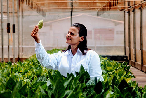 BASF avança em soluções integradas para acelerar a transformação da agricultura