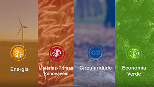 Sustainable week BASF conecta ecossistema de negócios sustentáveis
