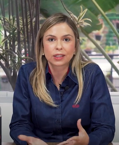 A importância das abelhas na polinização do tomateiro