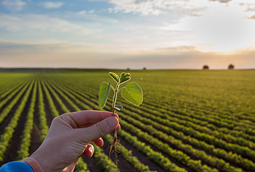 Laboratório de tecnologia de aplicação será destaque na Copacol Agro 2023