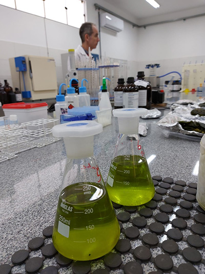 A ciência que ajudou Mato Grosso do Sul a se tornar uma potência do agro