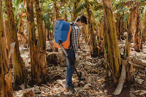 Jacto na Feibanana 2023: equipamentos com inovação e tecnologia para o ciclo produtivo da banana