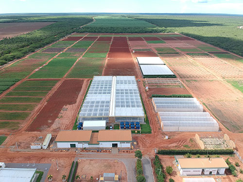 Unidade da Syngenta Seeds no Ceará inicia operação de usina solar