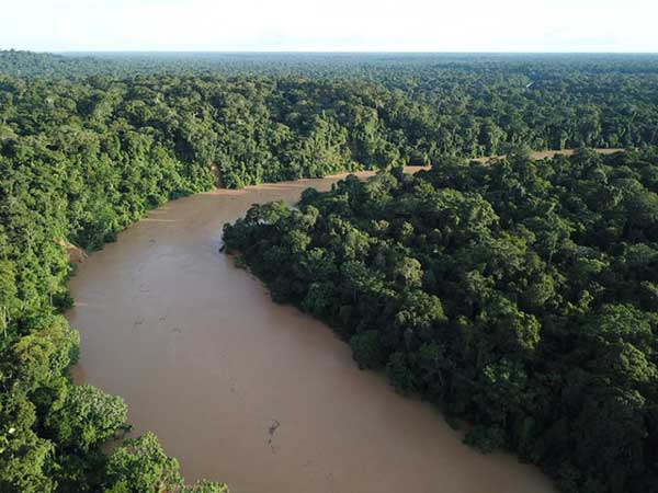 Robô mais remoto do mundo automatiza projeto de reflorestamento da Amazônia