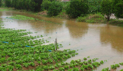Iniciativa colabora com a segurança de reservatórios de água no agro