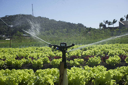 Viqua leva sua linha para irrigação à Hortitec 2023