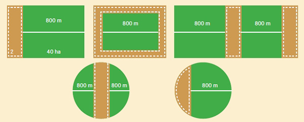 Fundação MT avalia danos e populações de lagartas em biotecnologias do algodoeiro