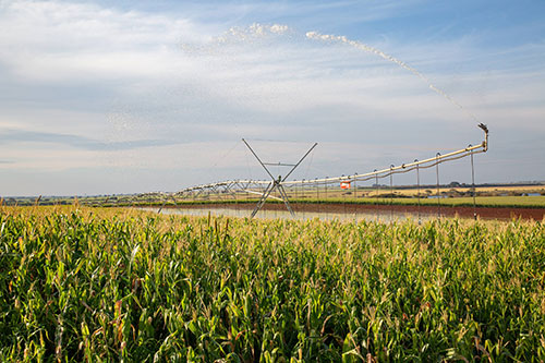 Junho é o mês de reflexão sobre iniciativas sustentáveis para a agricultura