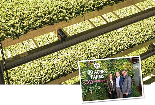 Automação e digitalização otimizam processos de cultivo nas fazendas