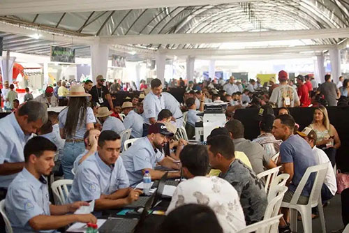 Feira da Coocafé terá Brachiaria sustentável e tecnológica da Wolf Sementes