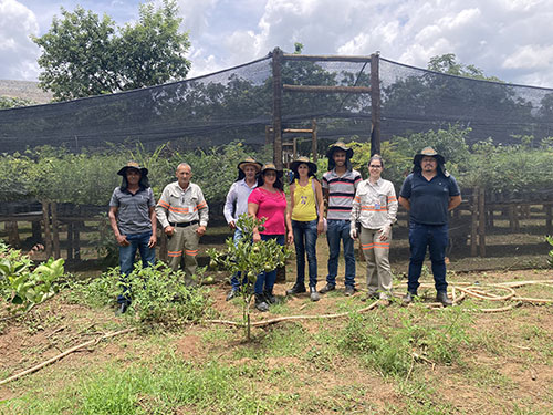 Unidade da Equinox Gold de Riacho dos Machados (MG) investe em projetos de apoio à agricultura familiar