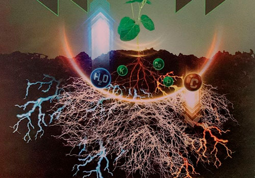 Principais ferramentas para manejo biológico da Sumitomo Chemical marcam presença no 17o Siconbiol