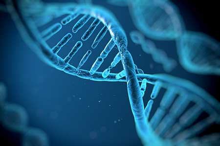 Superbac está na vanguarda do uso da bioinformática para alavancar agricultura brasileira