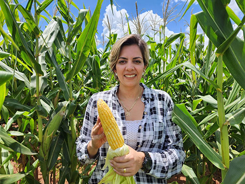 Bioprodutos minimizam efeitos adversos de condições climáticas no campo