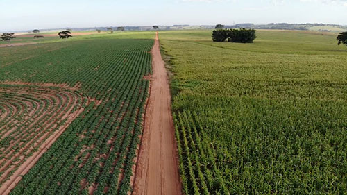 Bioprodutos minimizam efeitos adversos de condições climáticas no campo