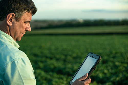 Garantindo a Qualidade e Segurança dos Alimentos: O Papel Vital da Rastreabilidade e Tecnologias Conectadas na Agricultura