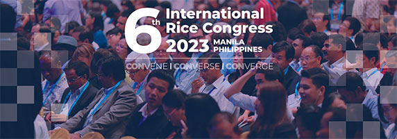 
DLG amplia cooperação com Instituto Internacional de Pesquisa de Arroz (IRRI) para congresso nas Filipinas