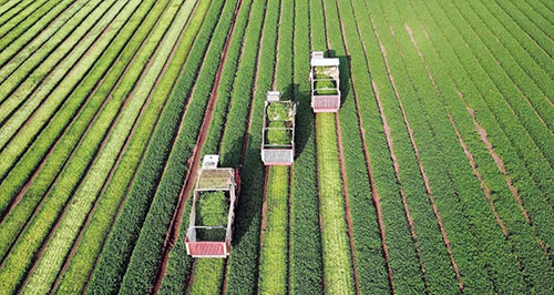 IFPA reúne indústria de produtos frescos para conferência, exposição e negócios exclusivos para profissionais do setor FFLV