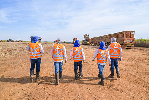 Empresa sueca LOTS Group começa a atuar no transporte de cana-de-açúcar em Goiás