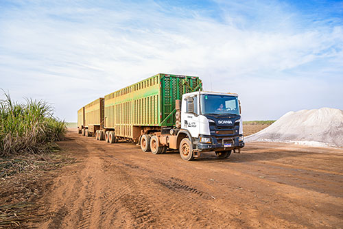 Empresa sueca LOTS Group começa a atuar no transporte de cana-de-açúcar em Goiás