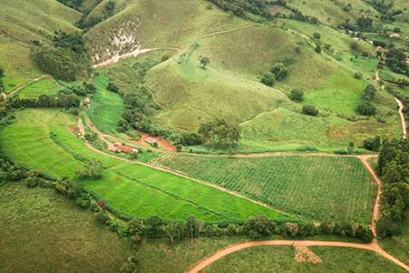 Com mais de 200 hectares, 'Floresta Naveia', projeto da marca Naveia com foco em reflorestamento e sequestro de carbono, apresenta resultados impactantes