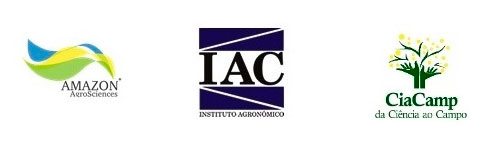 Produto inédito da pesquisa brasileira ajuda a minimizar os danos causados pelo enfezamento no milho e potencializa altas produtividades na soja