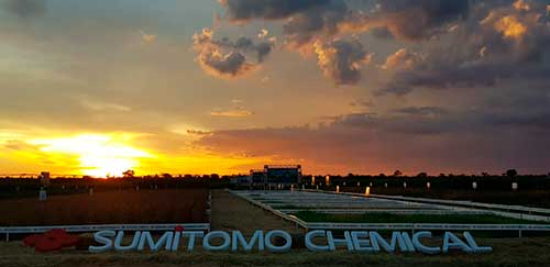 Sumitomo Chemical expõe soluções para soja e cana na Coopercitrus Expo 2023